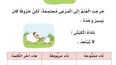 تحميل أوراق فهم الخروف والذئب PDF للصف الأول: قراءة وتعبير بالصور