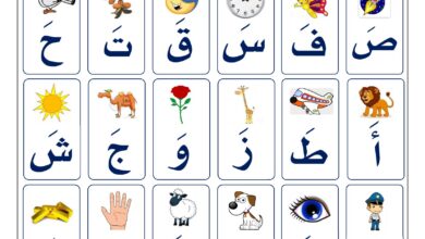 تحميل أوراق عمل القراءة للأطفال PDF | تدريبات الحروف والكلمات