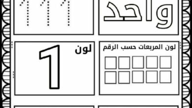 تحميل أوراق عمل حول الأرقام PDF | تدريبات الأعداد من 1 إلى 10