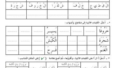 تحميل أوراق عمل الخروف والذئب PDF: 6 تدريبات للقراءة والكتابة والإملاء