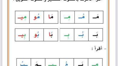 تحميل أوراق عمل قرائية لجميع الحروف PDF: من أصوات الحروف إلى قراءة الجمل