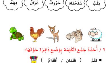 تحميل أوراق مراجعة مادة اللغة العربية (الصف الأول الابتدائي - الفصل الدراسي الثالث)