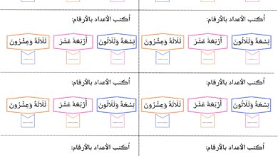 تحميل أوراق عمل الأعداد إلى 39 PDF | العشرات والشريط العددي