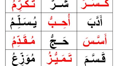الحرف المشدد في كلمة PDF – ورقة قراءة وتدريب على الشدة للأطفال
