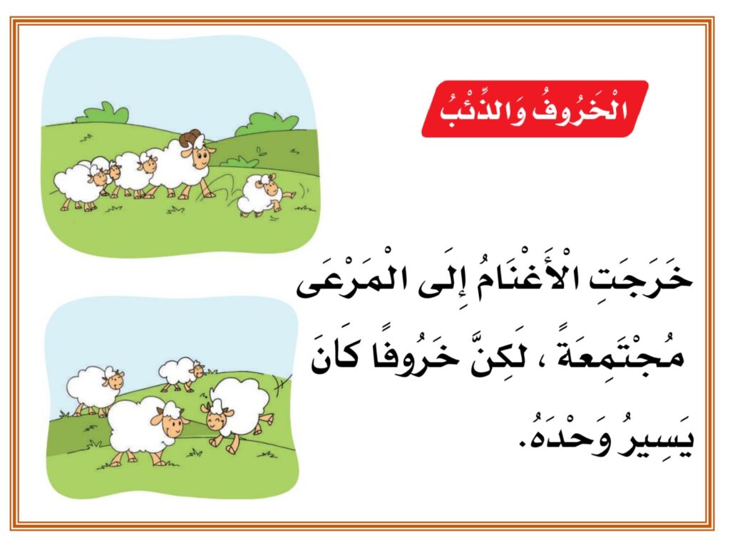 حل تدريبات درس الخروف والذئب PDF لغتي أول ابتدائي – القصة والأسئلة والإجابات
