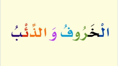 الخروف والذئب مقاطع صوتية ملونة PDF – قصة قراءة وتحليل صوتي للأطفال
