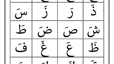 تحميل برنامج لتحسين وتقوية مستوى طلاب الصفوف العليا في اللغة العربية PDF