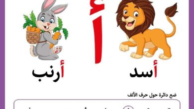 تحميل بطاقات الحروف العربية PDF | 112 ورقة تعليمية وتلوين
