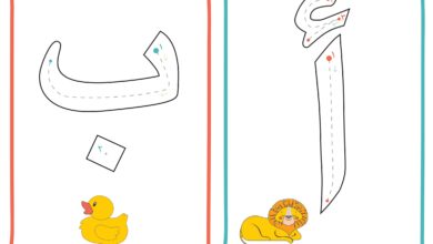 تحميل بطاقات الحروف العربية للأطفال PDF | 28 بطاقة مصورة للتتبع