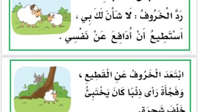 تحميل أوراق عمل قصة الخروف والذئب في مادة اللغة العربية (الصف الأول الابتدائي - الفصل الدراسي الثالث)