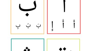 بطاقات الحروف العربية بالحركات للأطفال من الألف إلى الياء PDF