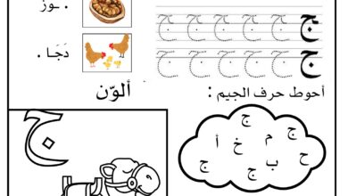 أوراق عمل الحروف العربية للأطفال كتابة وتلوين وتمييز الحرف PDF