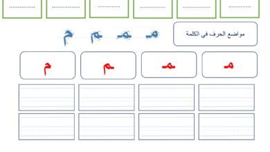 خطة علاجية لجميع الحروف العربية PDF – مذكرة الحروف الهجائية والتأسيس في القراءة والكتابة