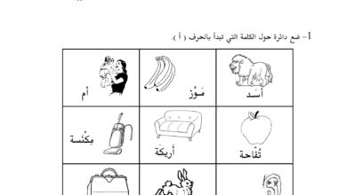 كتاب تمارين الحروف العربية للأطفال PDF: 127 صفحة للحركات والمدود والكتابة