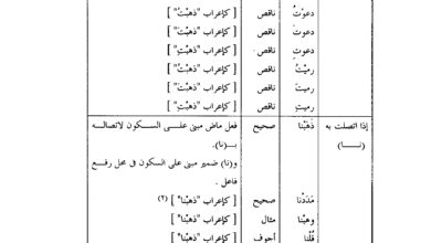دروس في الإعراب PDF للطلاب والمعلمين – شرح شامل للإعراب مع أمثلة تطبيقية