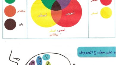 تحميل كراسة تلوين الحروف والحيوانات PDF: لوّن وتعلّم الكتابة من الألف إلى الزاي