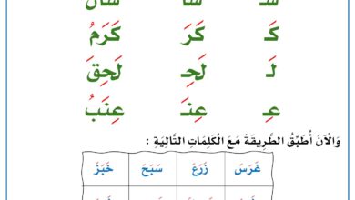 كتيب كيف أقرأ لتأسيس القراءة: الكلمة الثلاثية والمد والمقطع الساكن