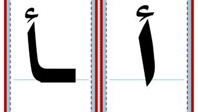 تحميل بطاقات مواضع حروف الهجاء PDF: 112 بطاقة لتعليم أشكال الحروف للأطفال