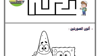 تمارين ما قبل الكتابة PDF للأطفال – أوراق التهيئة والاستعداد للطباعة