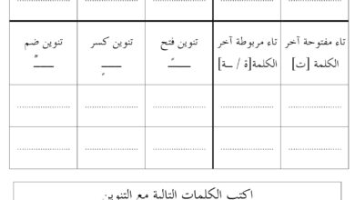 تحميل تدريبات إثرائية لدرس الخروف والذئب PDF: استخراج وتنوين وتركيب كلمات