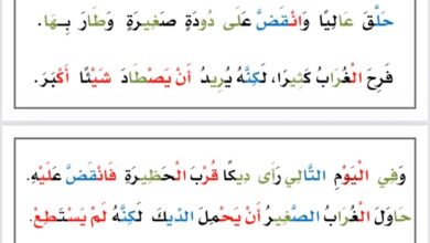 تحميل قصة تعلمت درسا PDF: حكاية الغراب الصغير وعاقبة التقليد