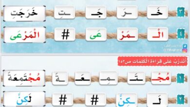تحميل القراءة بالتحليل والتركيب الخروف والذئب PDF | 18 كلمة لتدريب طفلك