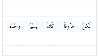 تحميل ورقة كتابة درس الخروف والذئب PDF | 3 جمل لتدريب طفلك على الخط