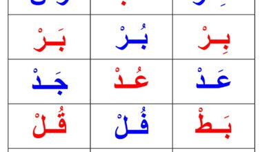 تحميل تدريبات المقطع الساكن PDF | 21 نموذجًا لتأسيس القراءة