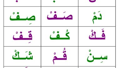 تحميل تدريبات المقطع الساكن الجزء الثاني PDF | 21 نموذجًا جديدًا للقراءة