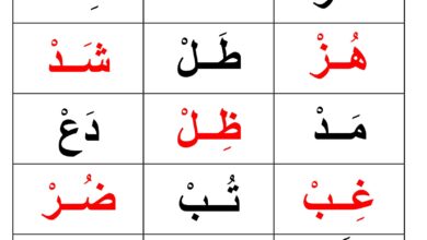 تحميل تدريبات المقطع الساكن الجزء الرابع PDF | 21 نموذجًا لتثبيت القراءة