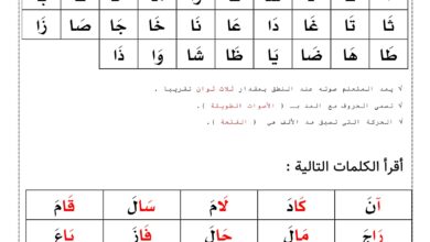 تحميل تدريبات المد والممدود PDF.. 4 صفحات لإتقان القراءة والكتابة