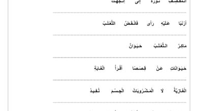 مهارة ترتيب الكلمات لتصبح جملة أول ابتدائي PDF – مراجعة لغتي الفصل الدراسي الثاني
