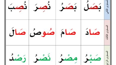نشاط قرائي 1447 PDF – كلمات متدرجة لتدريب الأطفال على القراءة في 22 صفحة
