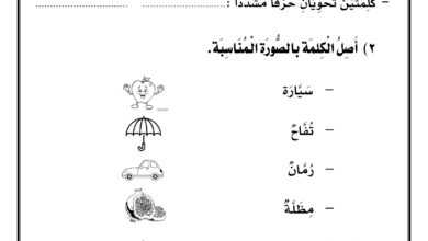 تحميل ورقة عمل الشدة للأطفال PDF.. 5 أنشطة مصورة لفهم الحرف المشدد