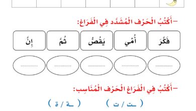 تحميل ورقة مراجعة القراءة والكتابة لبيب PDF.. 6 تدريبات لتقييم مهارات طفلك