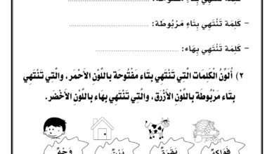 تحميل ورقة عمل التاء المفتوحة والمربوطة والهاء PDF.. 4 أنشطة مصورة لتثبيت الفرق