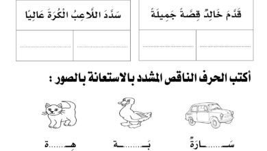 تدريبات الشدة بالحركات للأطفال PDF.. من اكتشاف الحرف إلى قراءة الكلمة