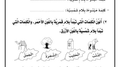تحميل ورقة عمل اللام القمرية واللام الشمسية PDF.. 5 تدريبات بالصور والتلوين