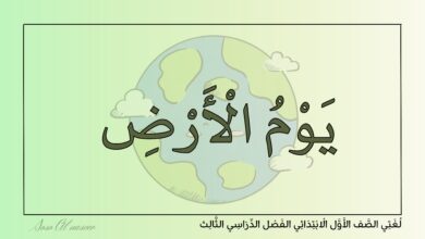 تحميل عرض يوم الأرض للصف الأول الابتدائي PDF.. 13 شريحة للقراءة المتدرجة