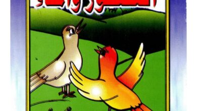 تحميل قصة العصفور والماء PDF.. حكايات تربوية وهادفة للأطفال